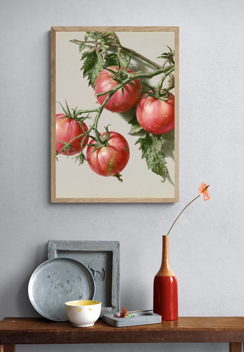 Tomatoes Still Life Print. — room view 3