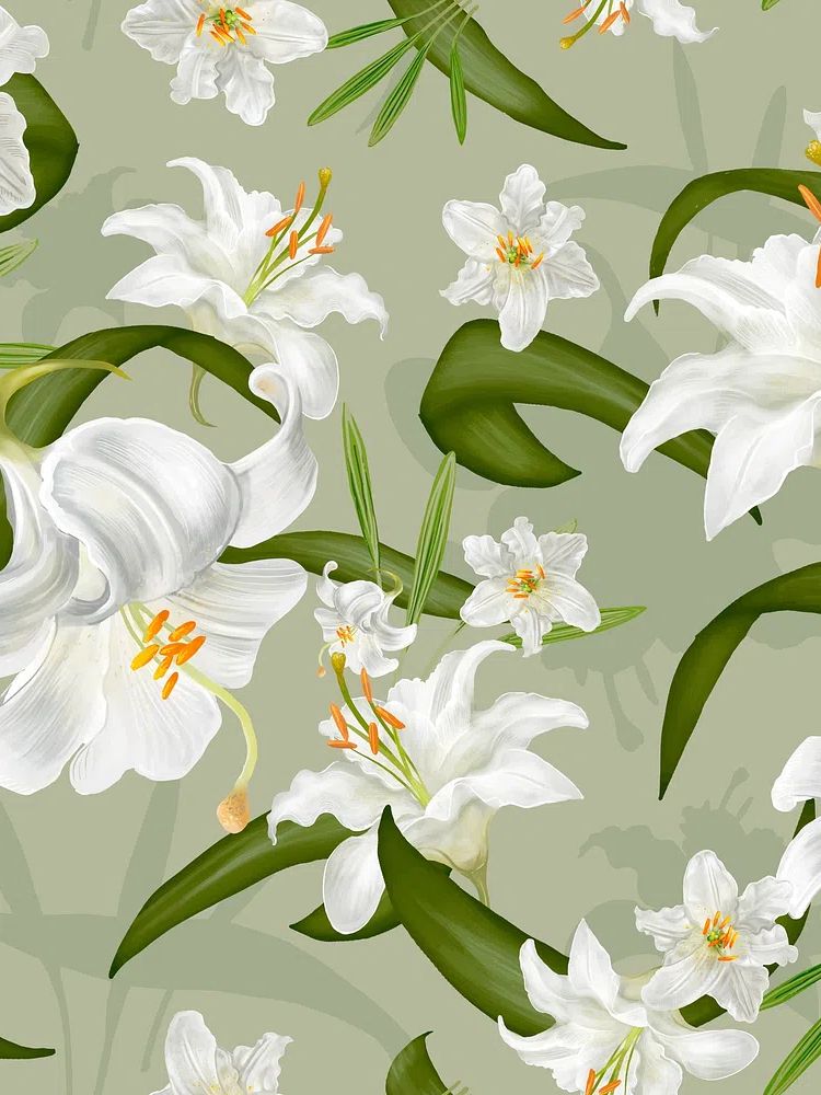 Illustration drawing of Lily flowers. poster detail