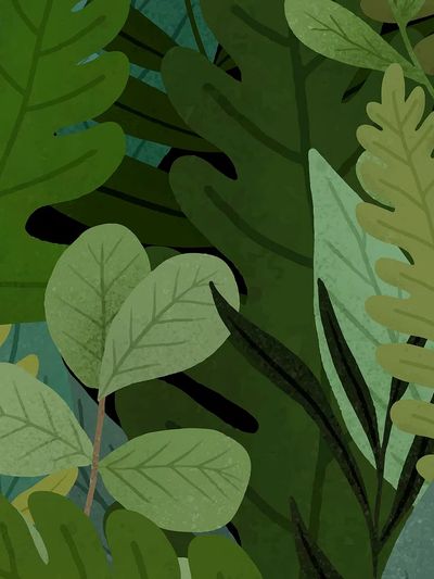 Hand drawn colorful hydrangeas. Original. poster