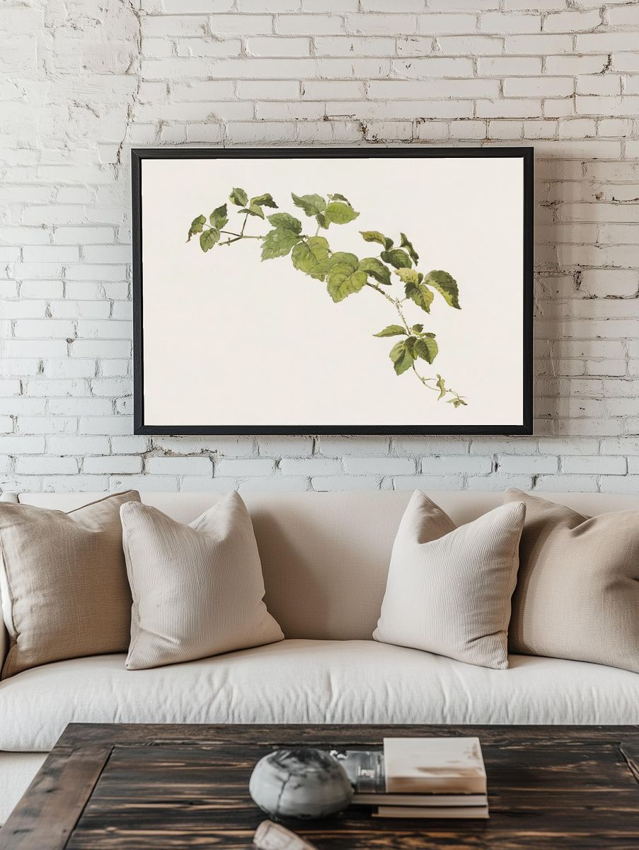 Blackberry sprig Friedrich von Scheidlin. room preview
