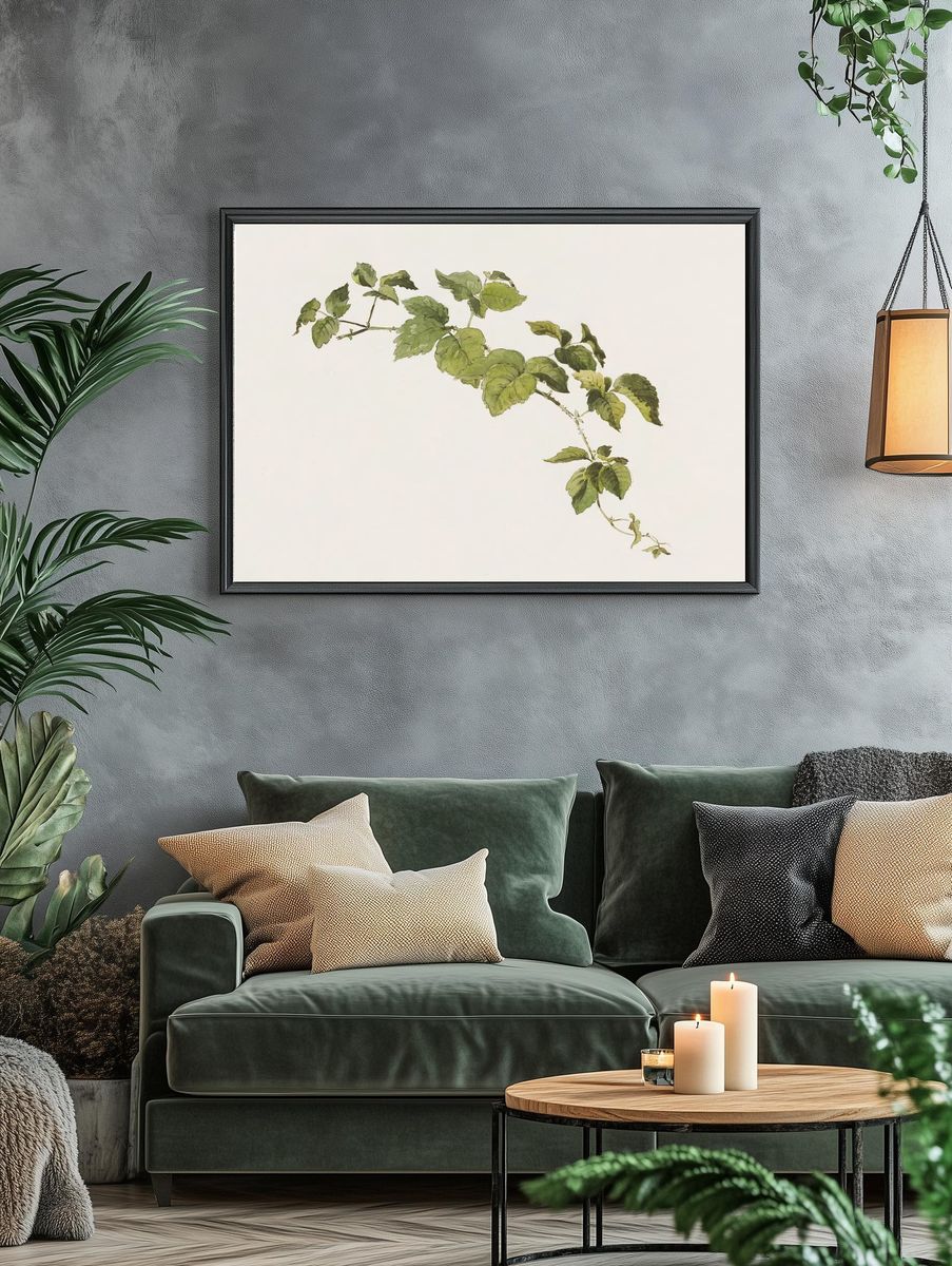Blackberry sprig Friedrich von Scheidlin. — room view 4