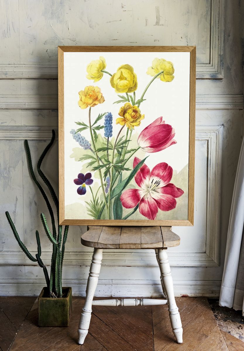 Boeket van tulpen, viooltjes, blauwe. — room view 1
