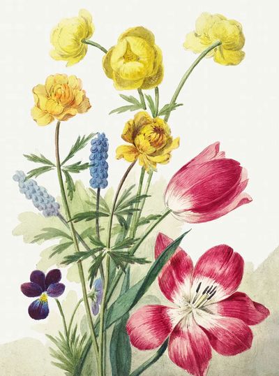 Boeket van tulpen, viooltjes, blauwe. poster