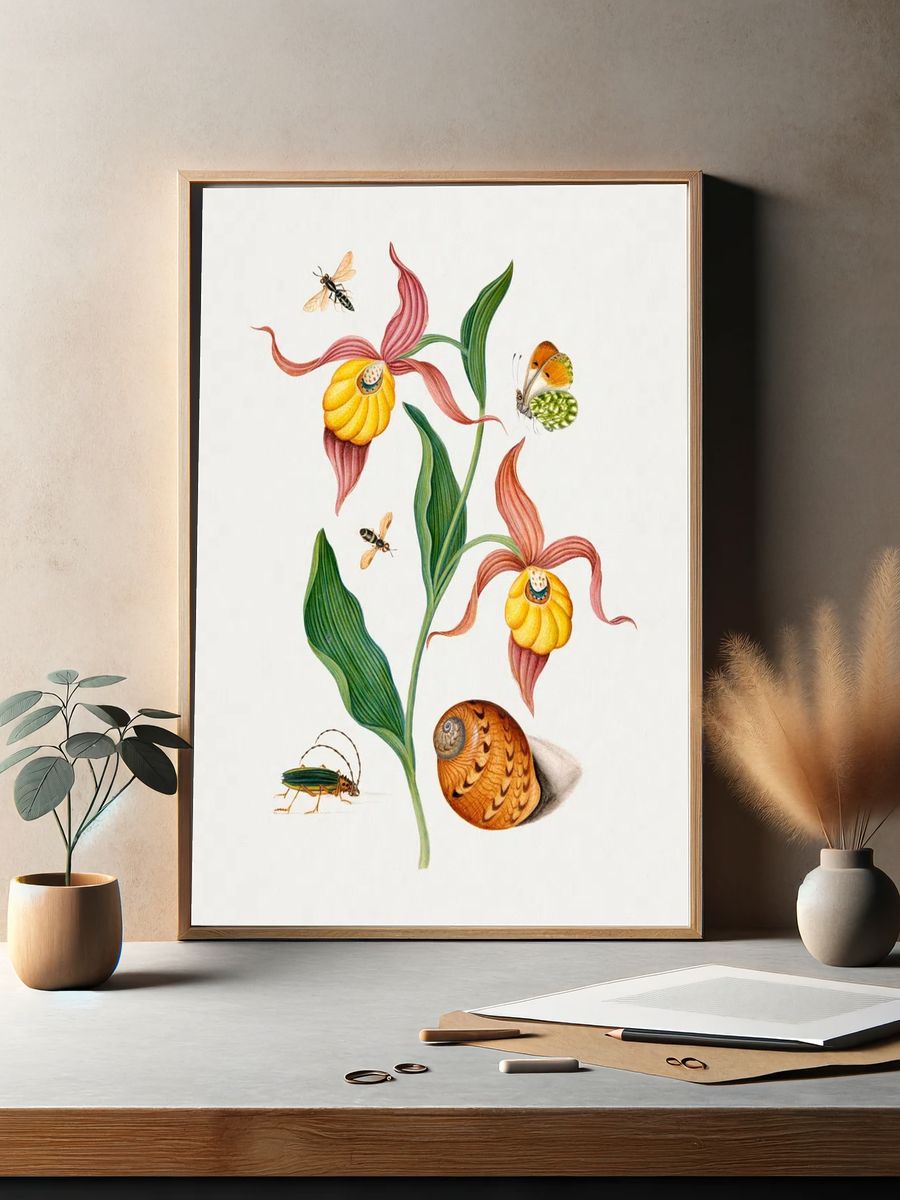 Lady's slipper orchid, tiphiid wasp. — room view 2