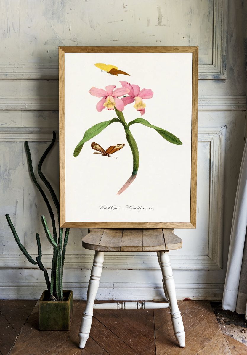 Cattleya orchids painting. — room view 1