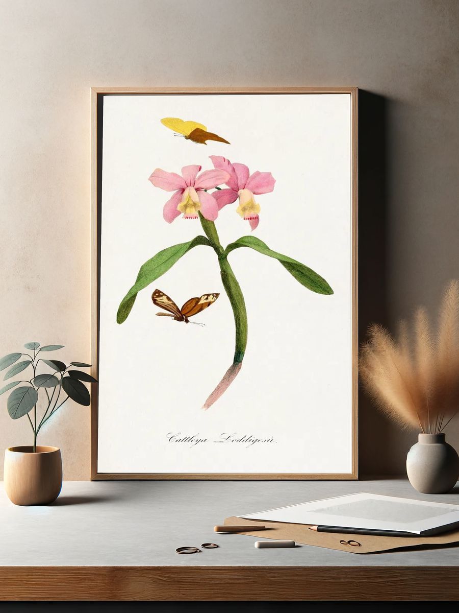 Cattleya orchids painting. — room view 2