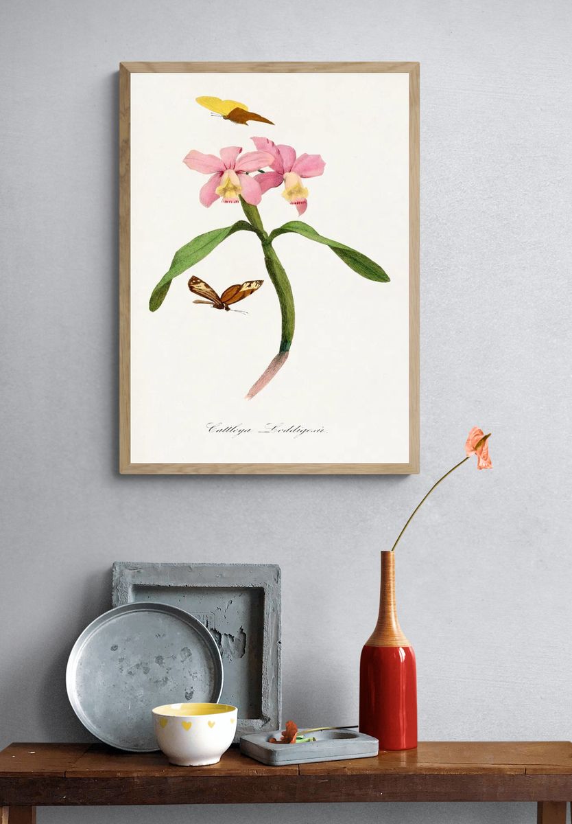 Cattleya orchids painting. — room view 3