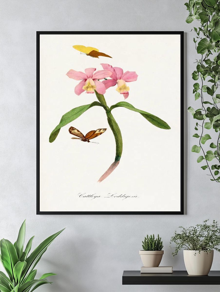 Cattleya orchids painting. — room view 4