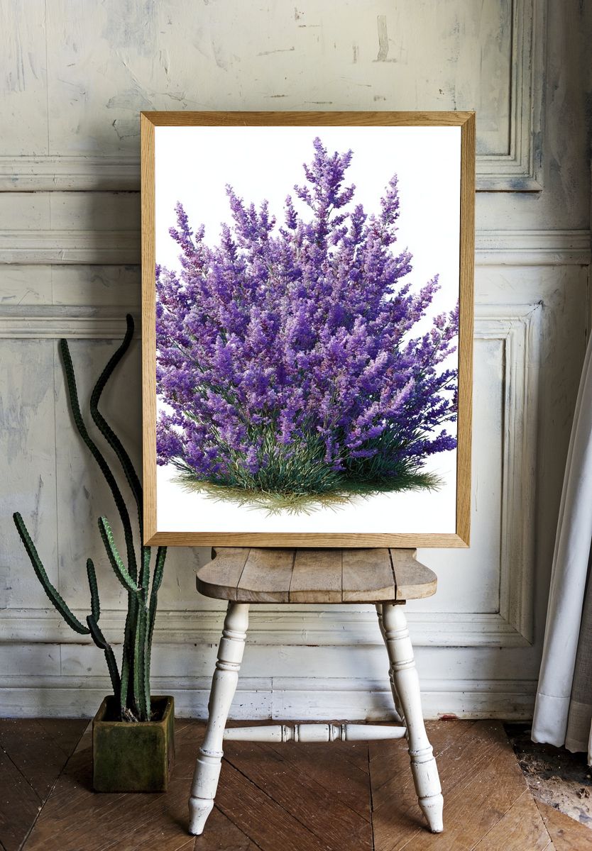 Purple Lavender Bush Botanical Print. — room view 1