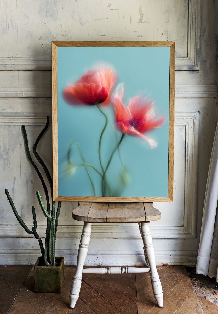 Dreamy Poppy Bloom Photography Poster. room preview
