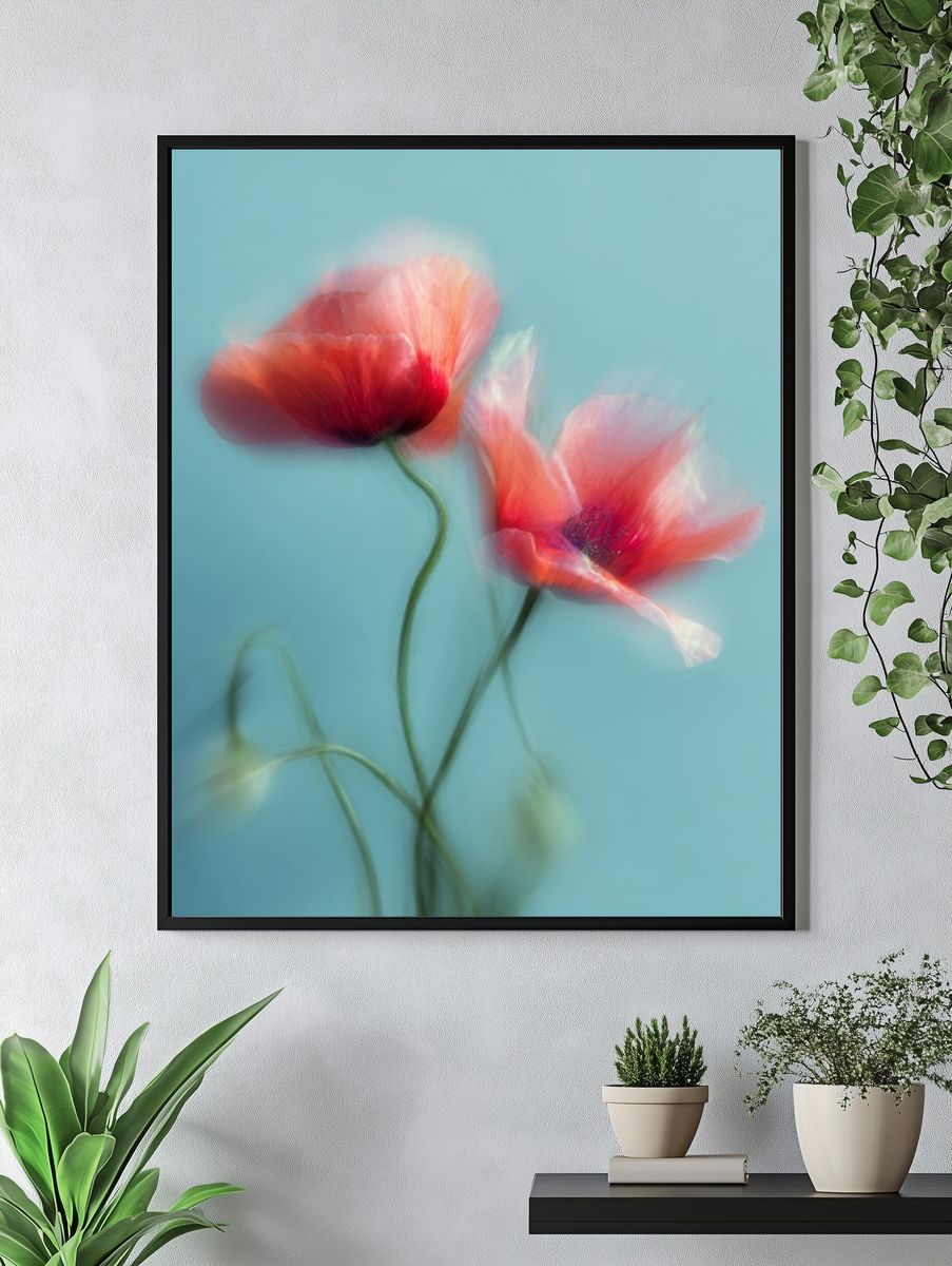 Dreamy Poppy Bloom Photography Poster. — room view 4