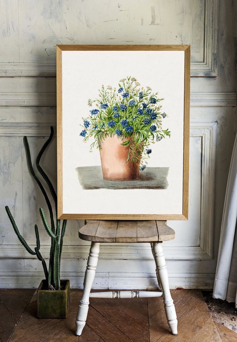 Hand drawn garden lobelia pot. room preview