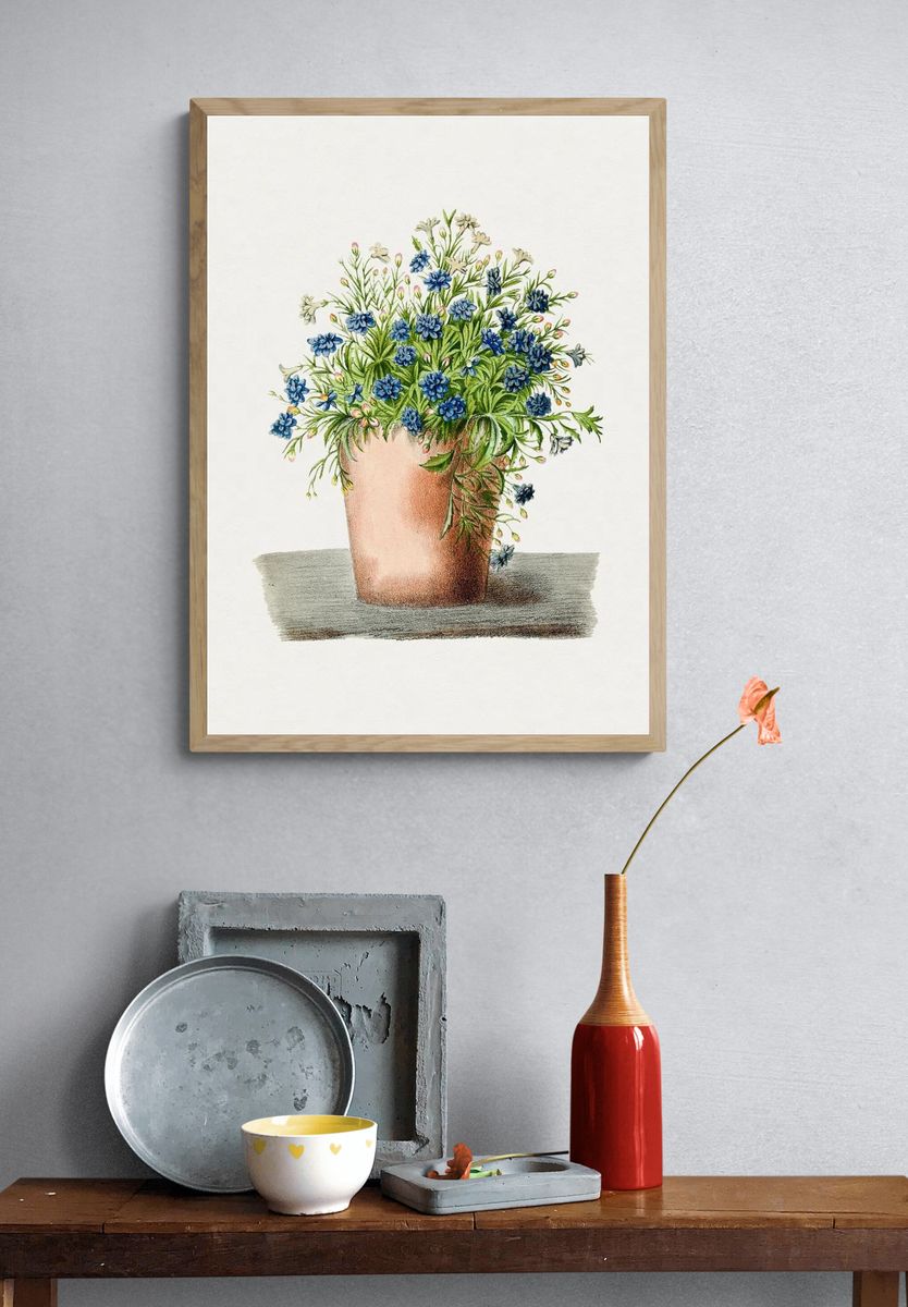 Hand drawn garden lobelia pot. — room view 3