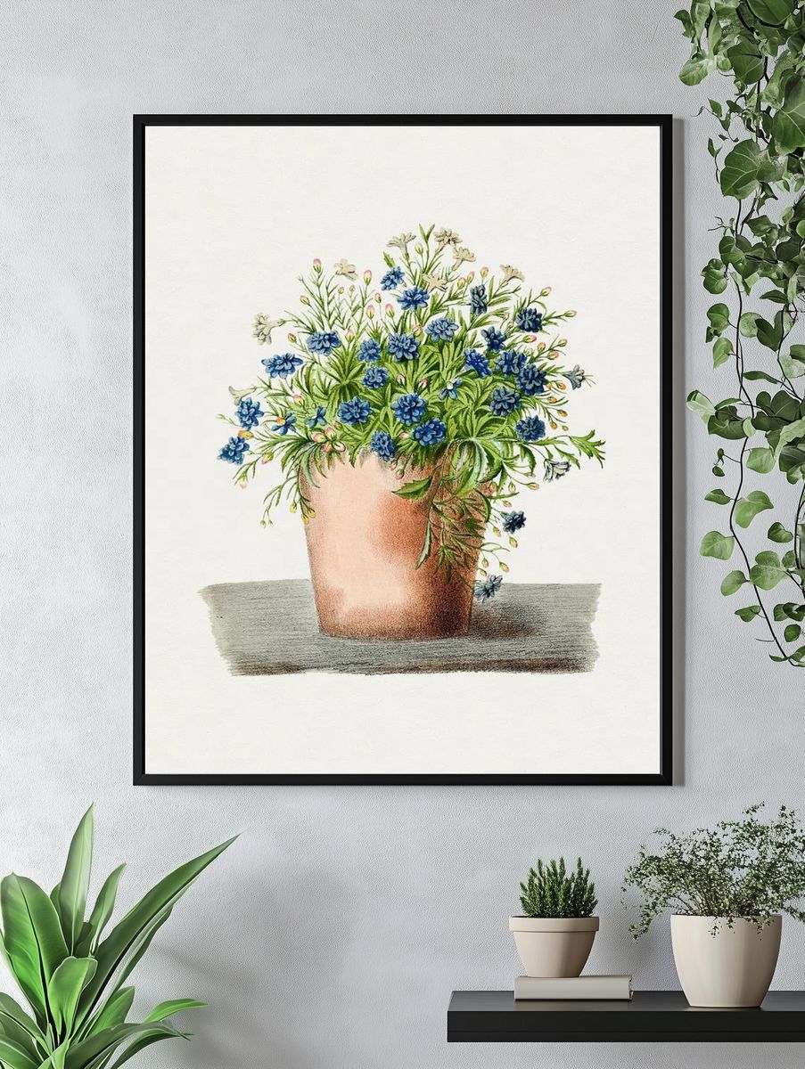 Hand drawn garden lobelia pot. — room view 4