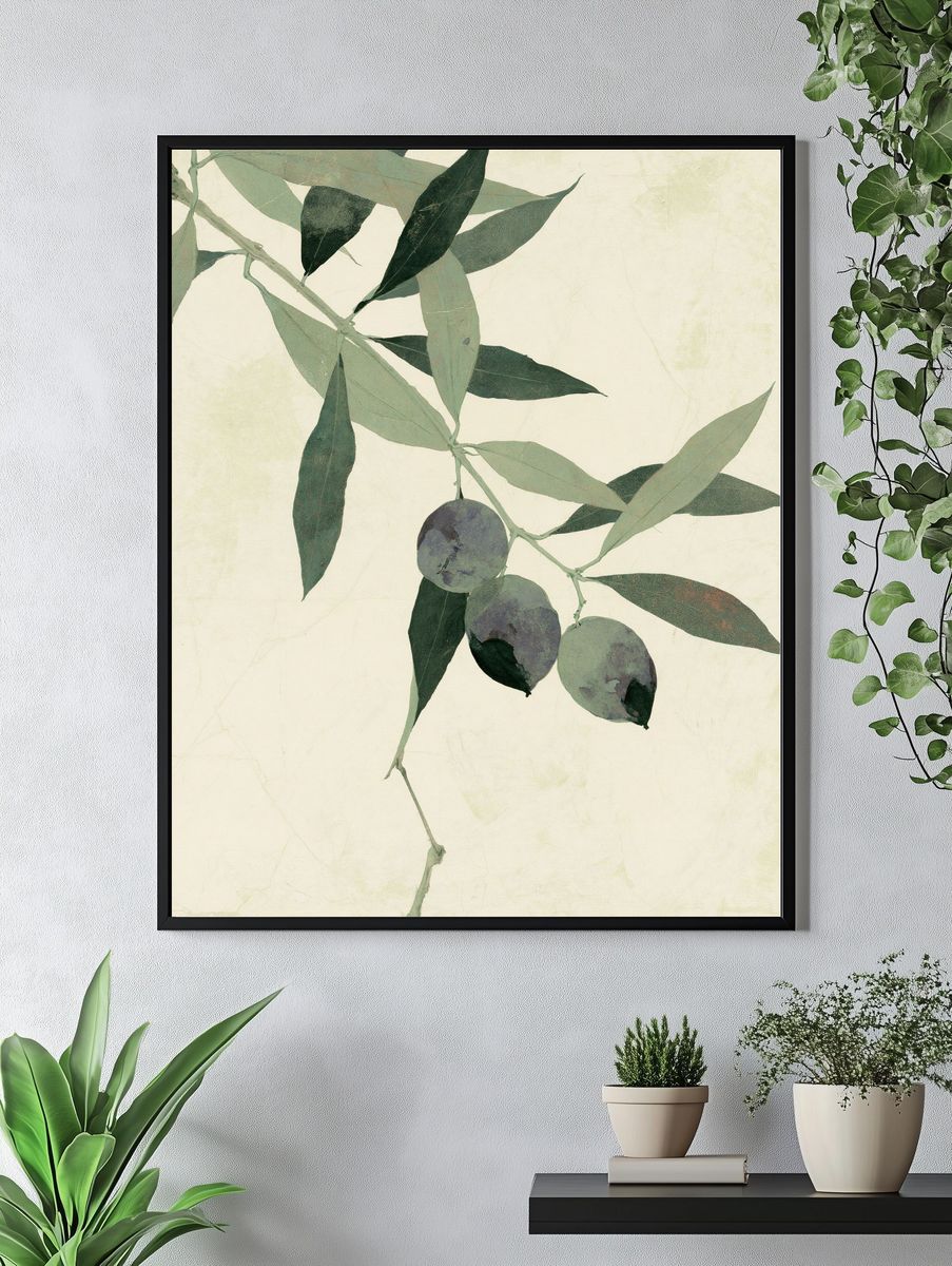 Olive Branch Botanical Print. — room view 4