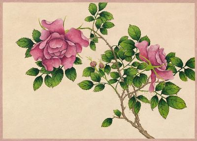 Rose (18th Century) painting high. poster print