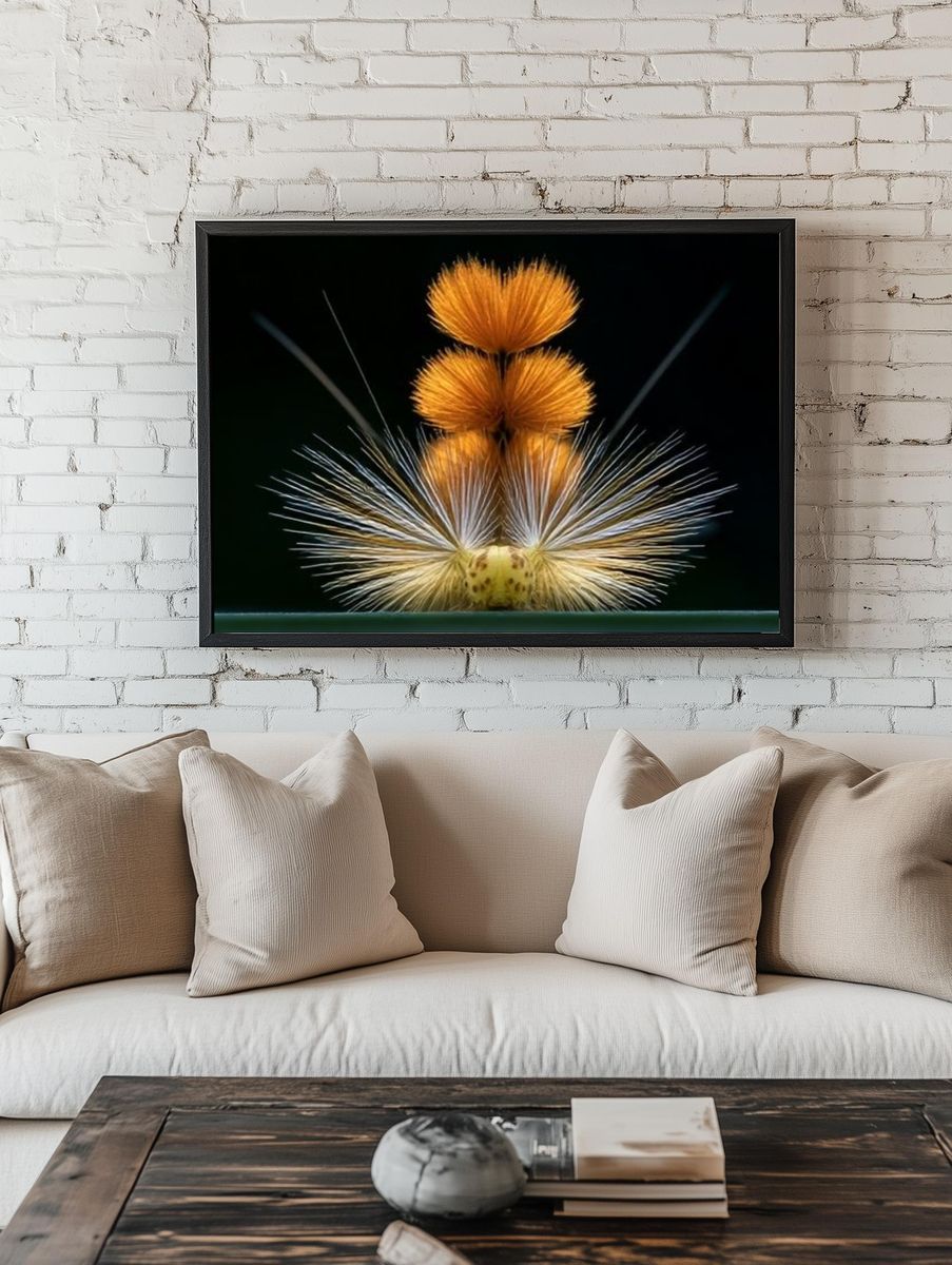 Orange Thistle Macro Photography Poster. room preview