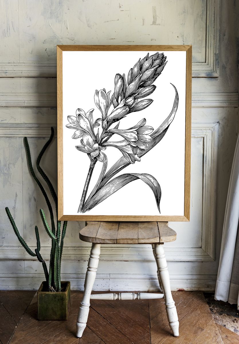 Botanical Flower Line Art Poster. room preview