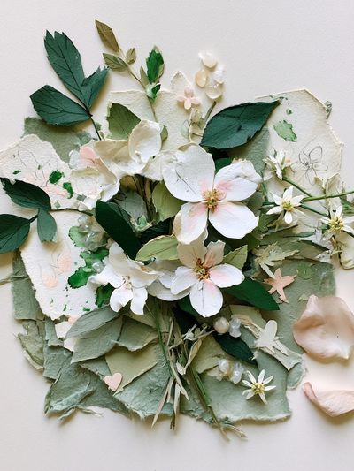 Pressed Floral Collage Botanical Print.
