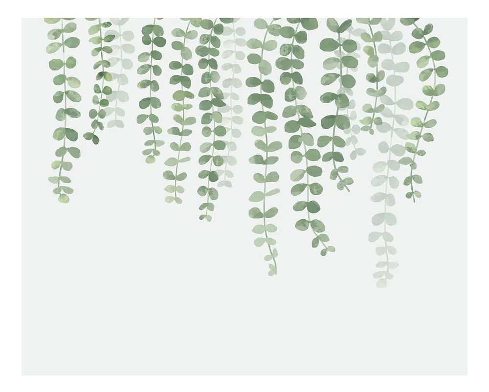Illustration hanging plant isolated white. poster — botanical art
