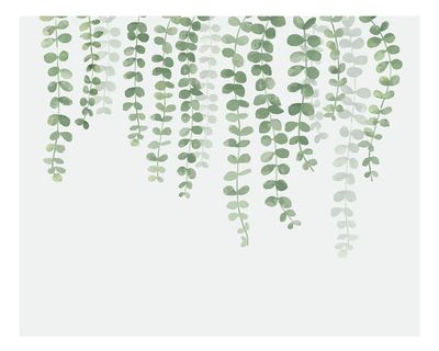 Illustration hanging plant isolated white. poster print