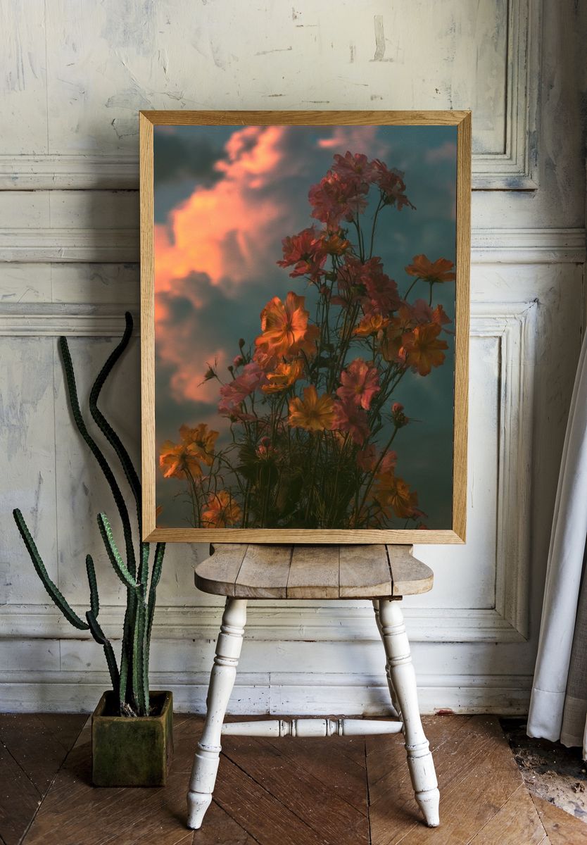 Sunset Cosmos Bloom Poster. — room view 1