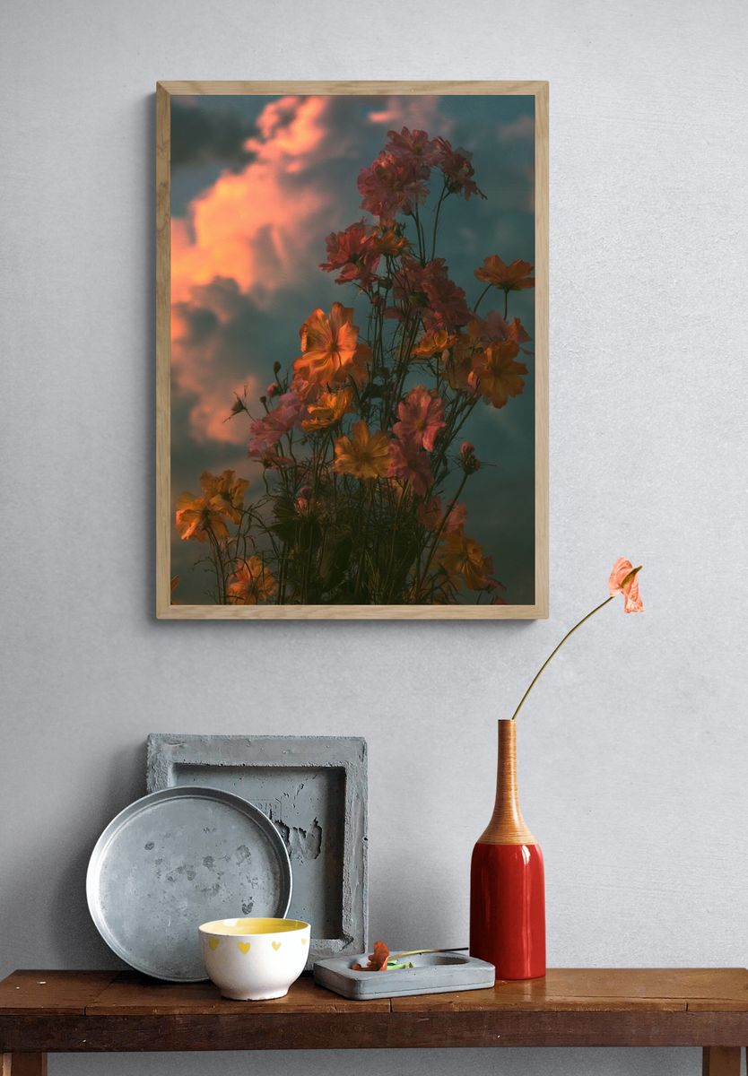 Sunset Cosmos Bloom Poster. — room view 3