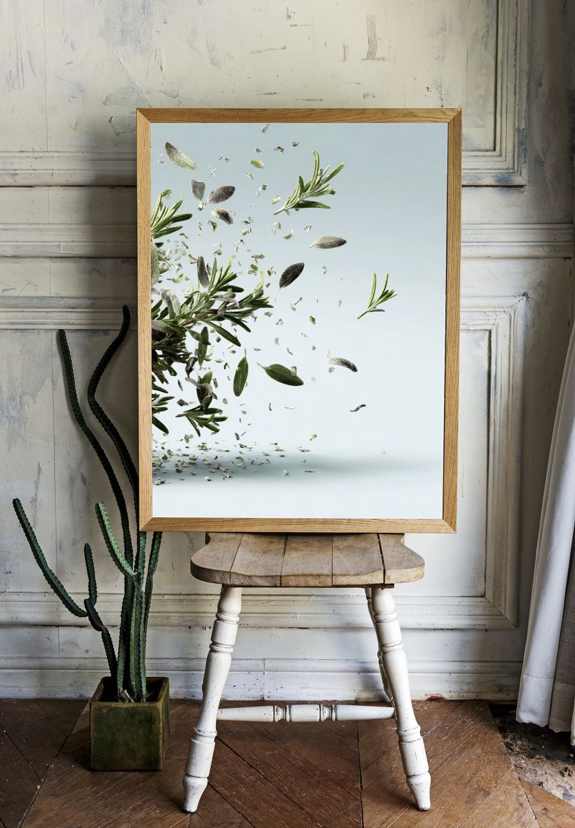 Floating Rosemary — Botanical Print. — room view 1