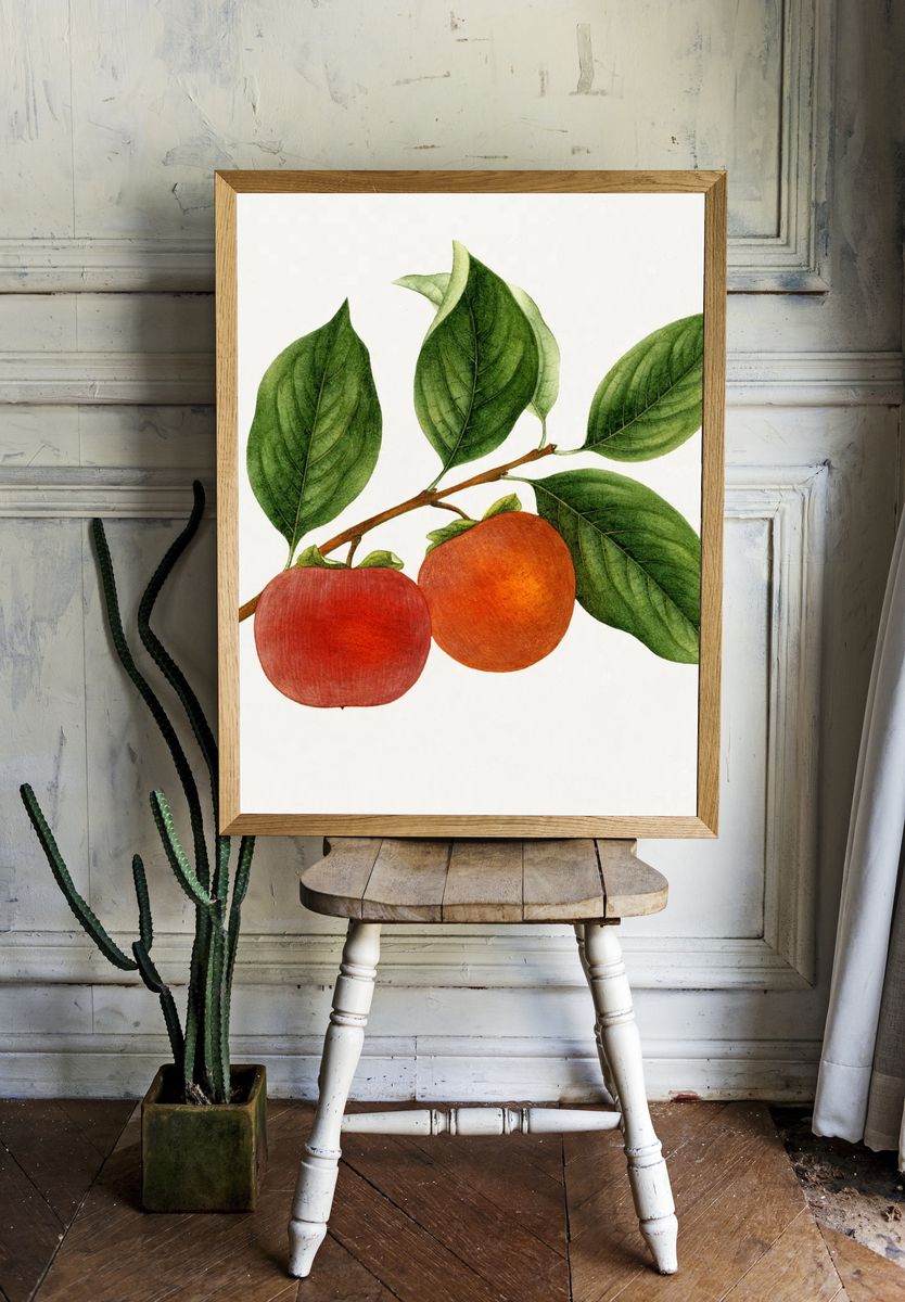 Vintage persimmon twig. Original U.S. room preview