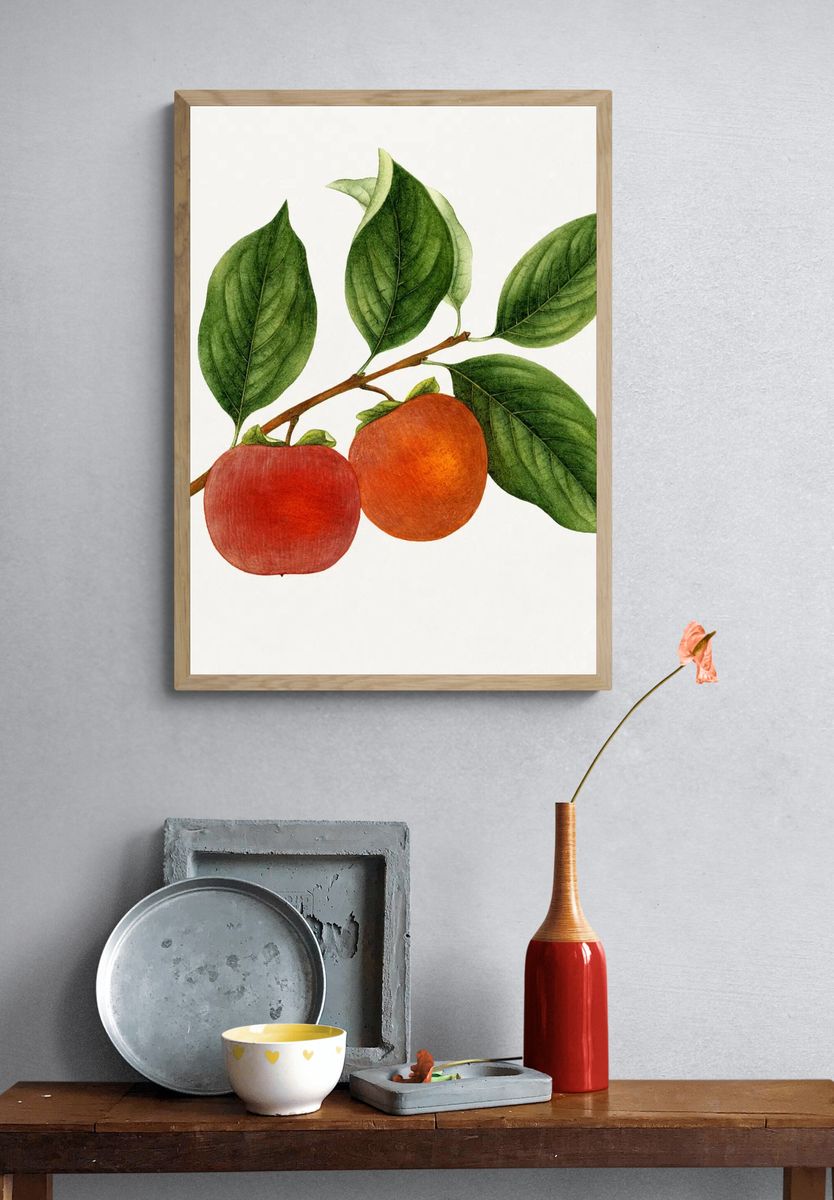 Vintage persimmon twig. Original U.S. — room view 3