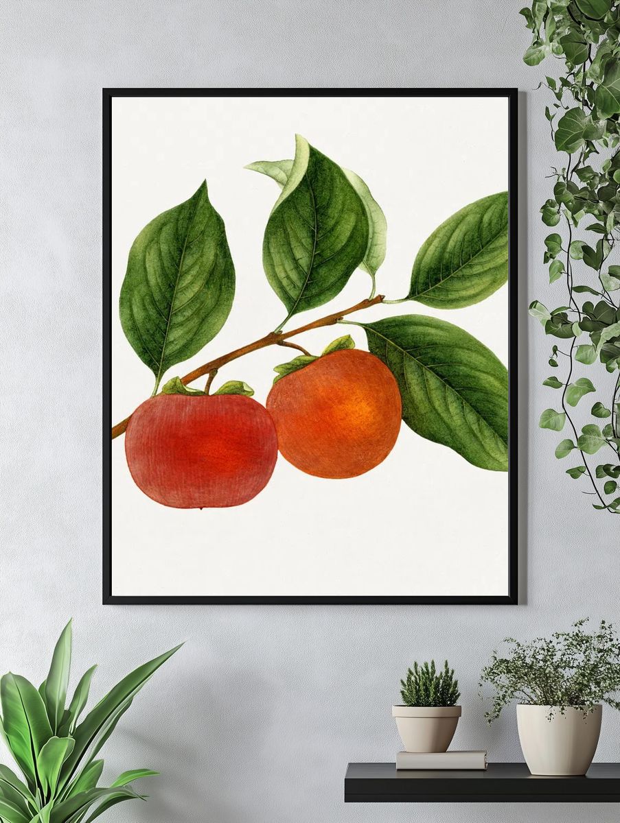 Vintage persimmon twig. Original U.S. — room view 4