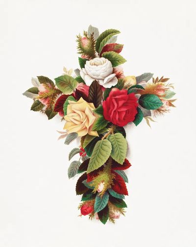 Cross roses (1861–1897), vintage flower.