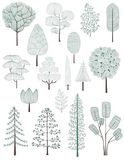 Illustration of pine trees collection. poster print