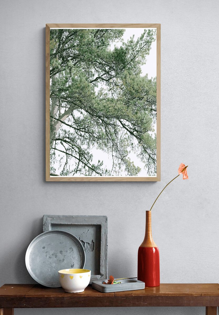 Eucalyptus Canopy Botanical Print. — room view 3