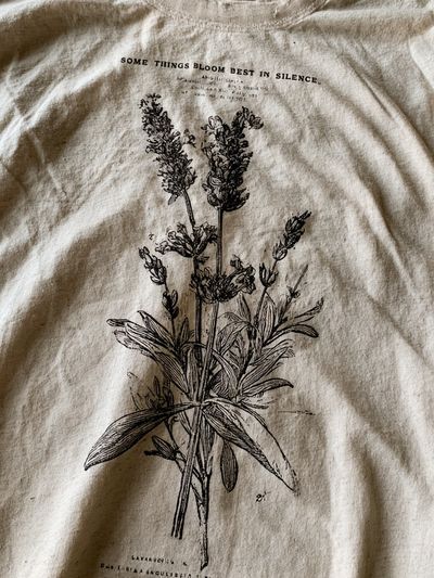 Lavender Botanical Line Art Poster.
