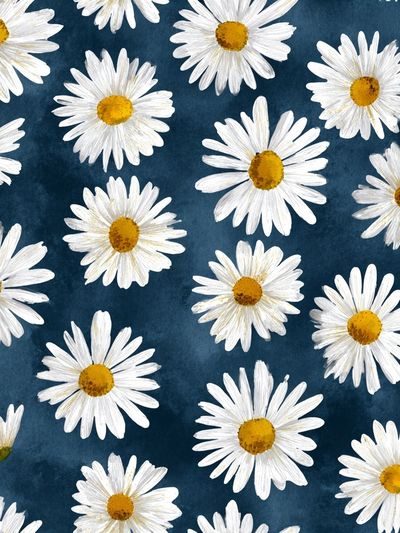 Daisy Field Watercolor Print. poster print