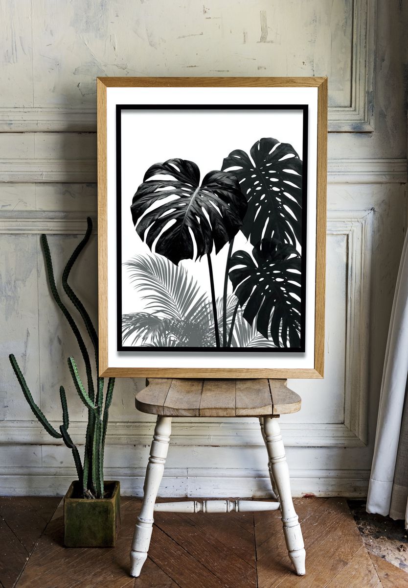 Monochrome Monstera Botanical Print. room preview