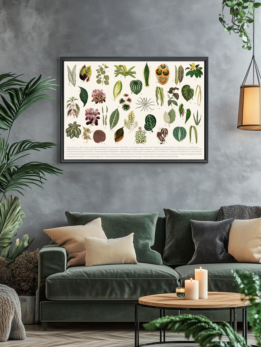 Collection leaves found Shirley Hibberd. — room view 4