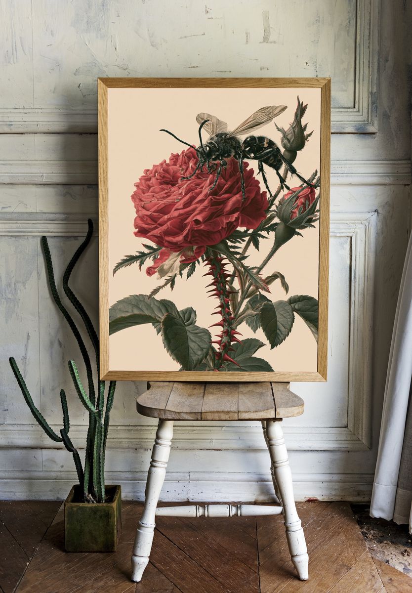 Bee on Rose Botanical Print. room preview