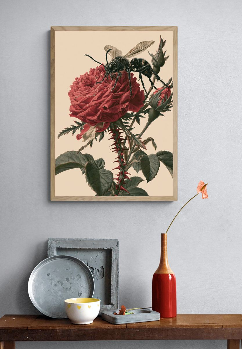 Bee on Rose Botanical Print. — room view 3