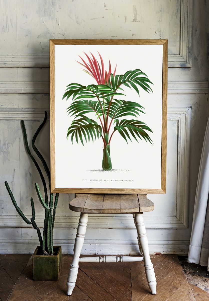 Vintage palm tree illustration. Digitally. room preview
