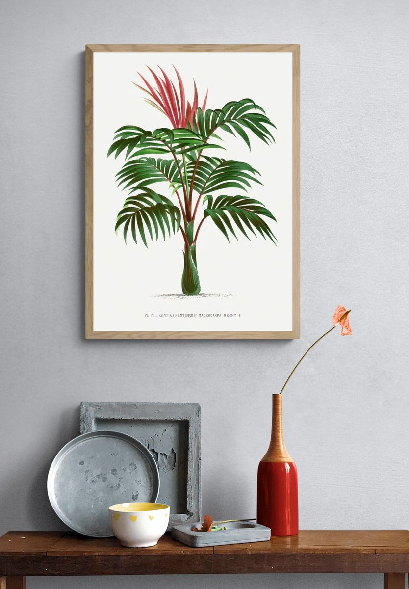 Vintage palm tree illustration. Digitally. — room view 3