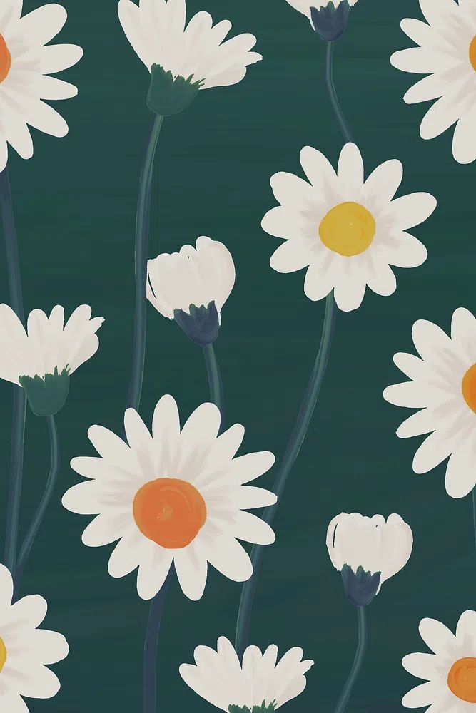 Hand drawn daisy patterned background. poster — botanical art