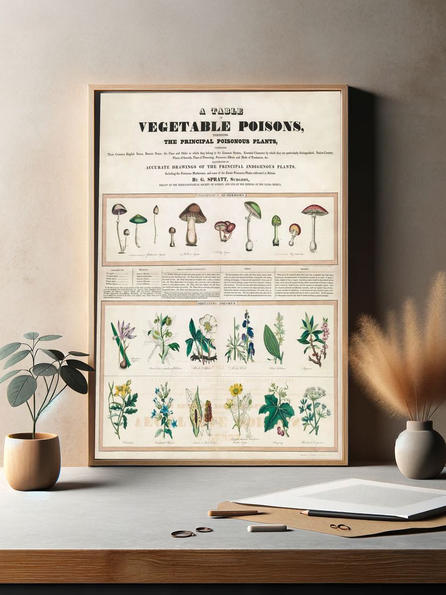 Poisonous mushrooms: Irritating poisons (1840–1850). — room view 2