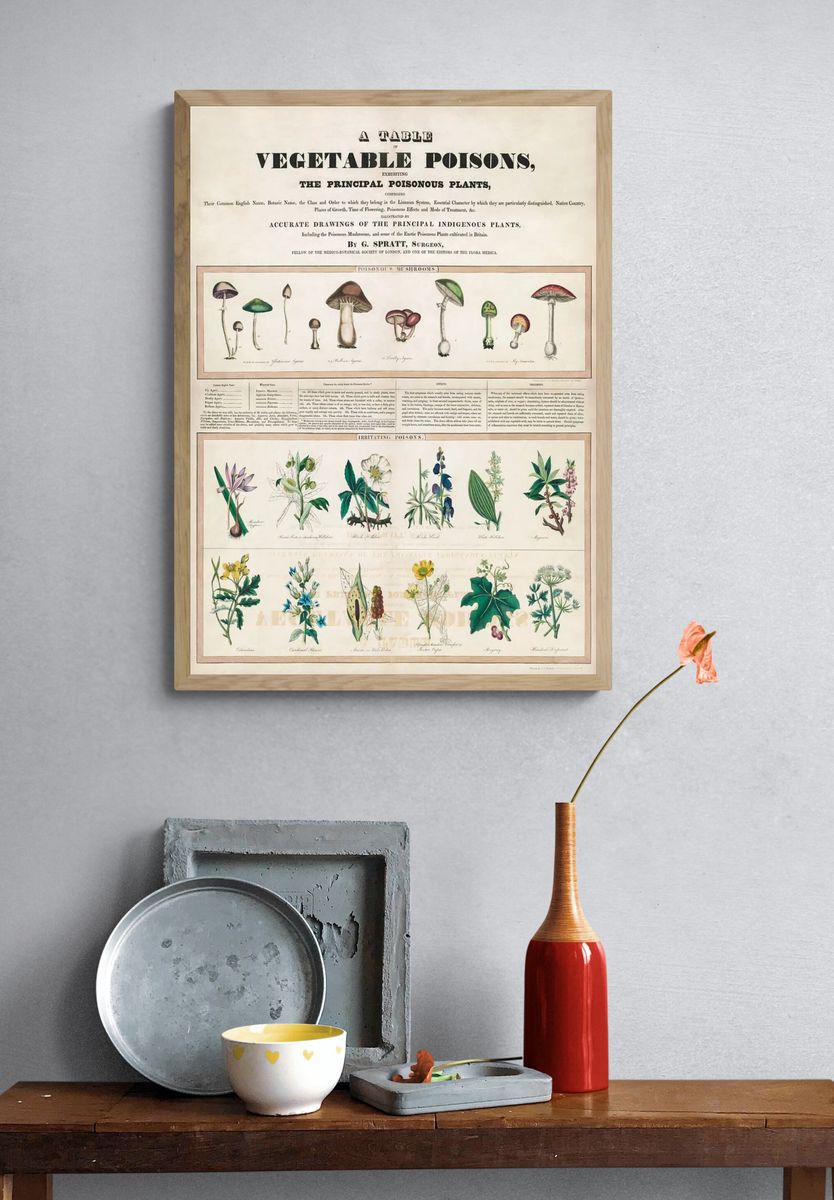 Poisonous mushrooms: Irritating poisons (1840–1850). — room view 3