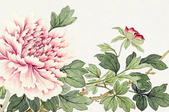 Flower painting late 18th century. poster — botanical art