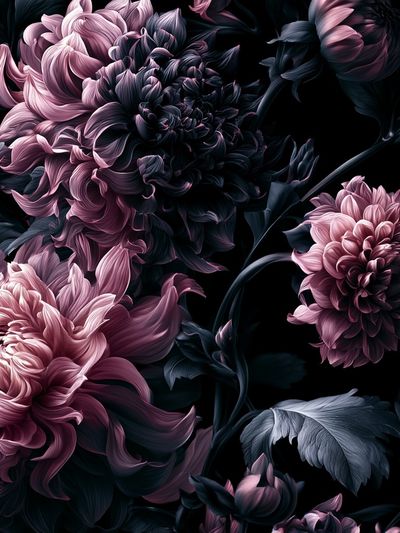 Dark Peony Bloom Botanical Print.