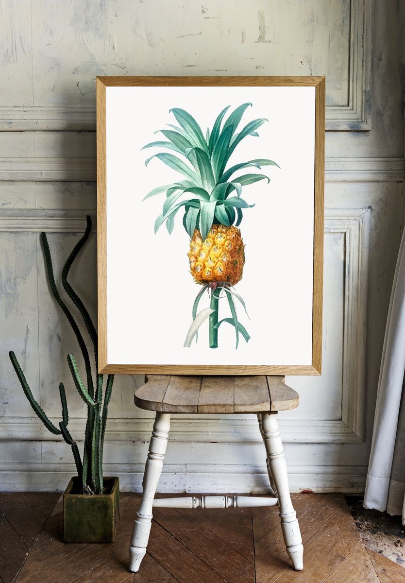 Vintage Illustration of Pineapple. — room view 1