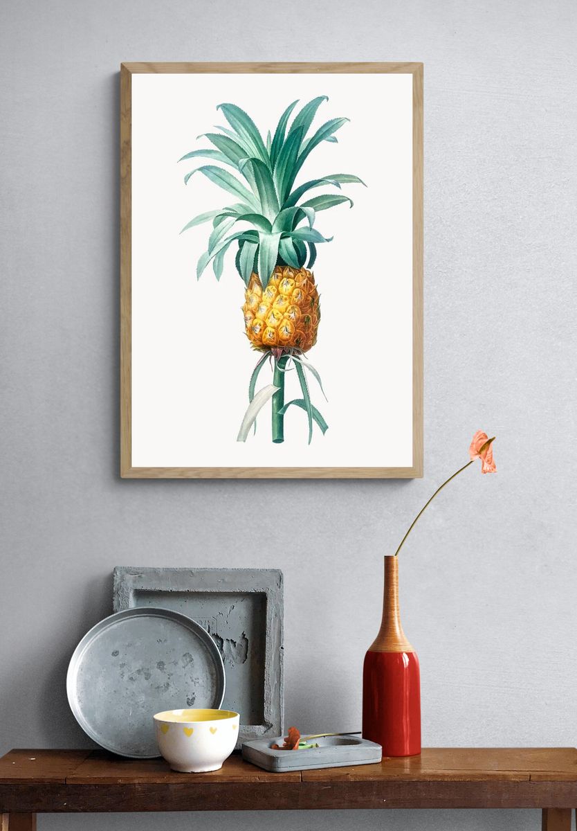 Vintage Illustration of Pineapple. — room view 3