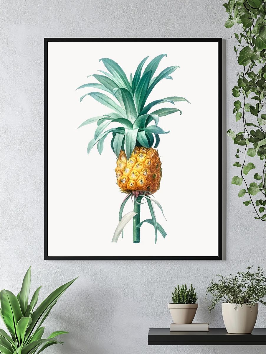 Vintage Illustration of Pineapple. — room view 4